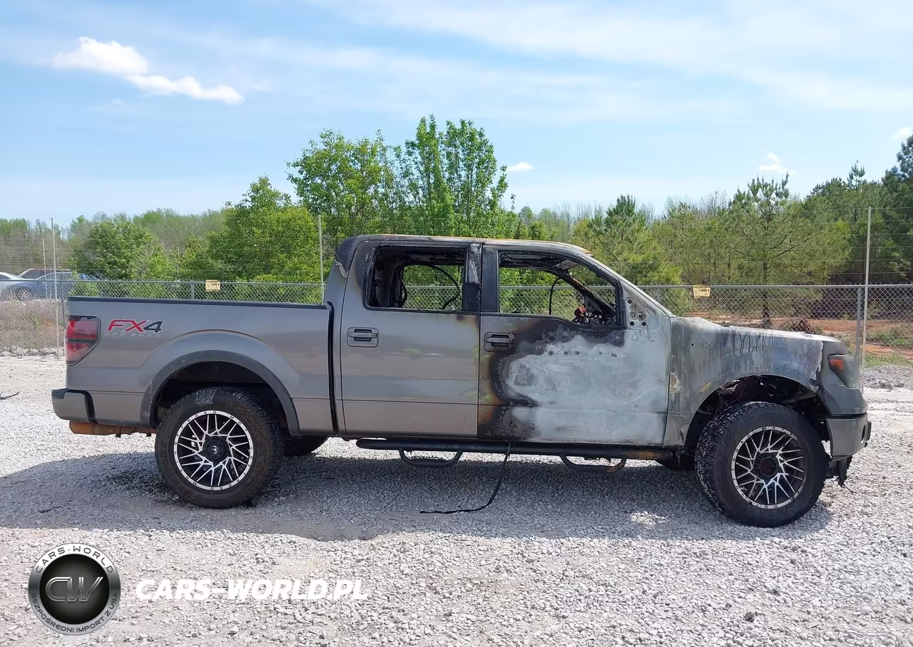 2014 Ford F-150 Fx4 VIN:1FTFW1EF8EKF01869 - 13