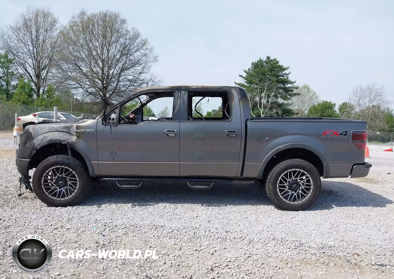 2014 Ford F-150 Fx4 VIN:1FTFW1EF8EKF01869 - 14