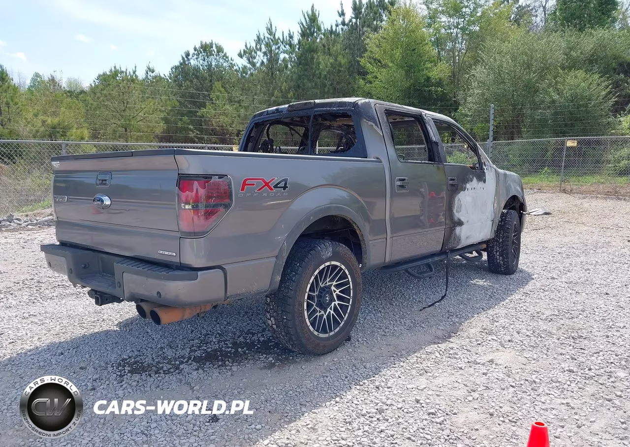 2014 Ford F-150 Fx4 VIN:1FTFW1EF8EKF01869 - 4
