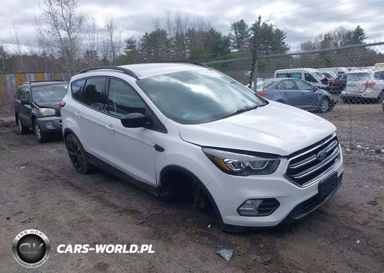 2019 Ford Escape Se