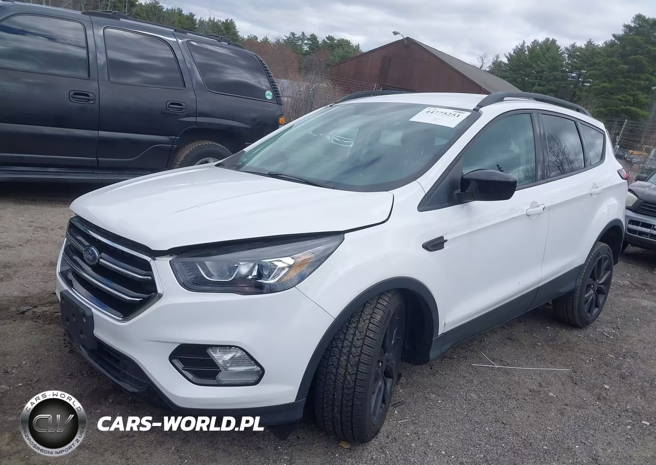 2019 Ford Escape Se VIN:1FMCU9GD3KUA84871 - 2