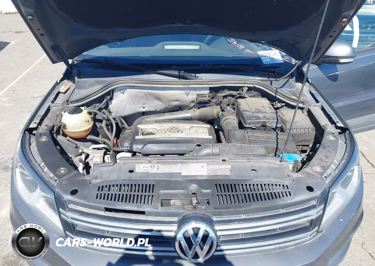 2012 Volkswagen Tiguan S VIN:WVGBV7AX9CW090230 - 10