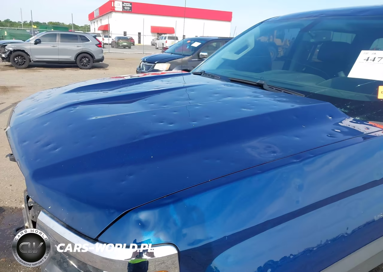 2017 Chevrolet Silverado 1500 1Lz VIN:3GCUKSEC0HG281430 - 20