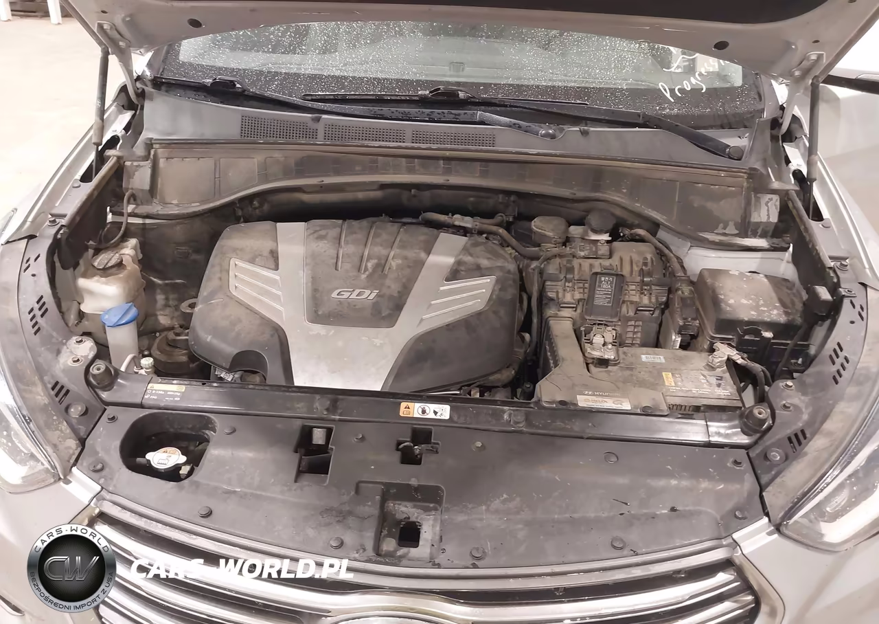 2019 Hyundai Santa Fe Xl Limited Ultimate VIN:KM8SR4HF6KU310918 - 10