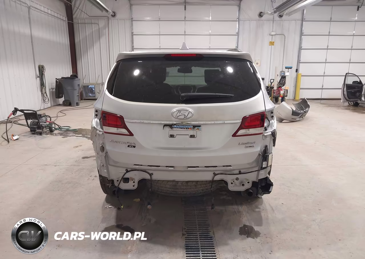 2019 Hyundai Santa Fe Xl Limited Ultimate VIN:KM8SR4HF6KU310918 - 17
