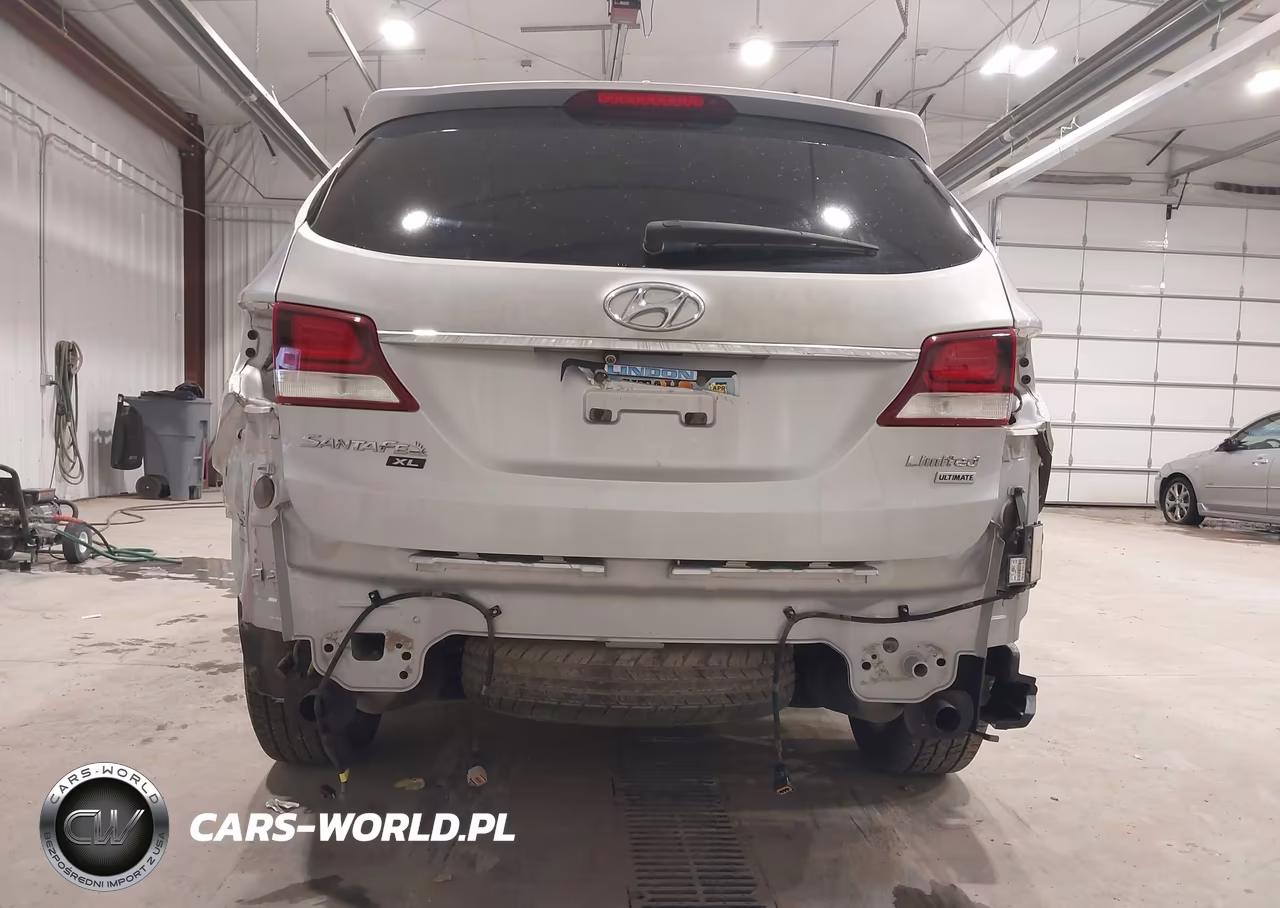 2019 Hyundai Santa Fe Xl Limited Ultimate VIN:KM8SR4HF6KU310918 - 6