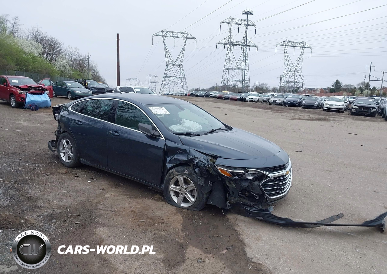 2019 Chevrolet Malibu 1Ls
