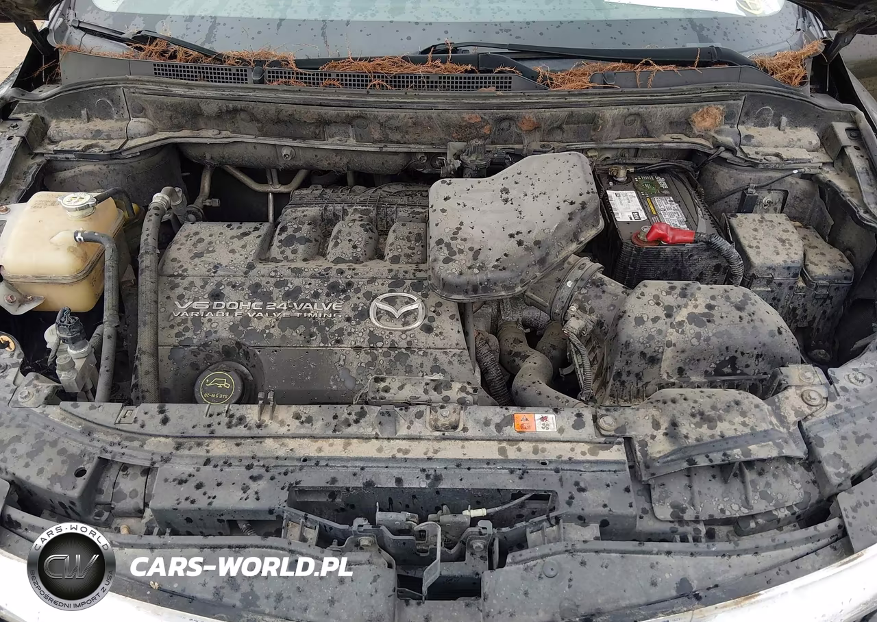 2007 Mazda Cx-9 Touring VIN:JM3TB28Y270112474 - 10