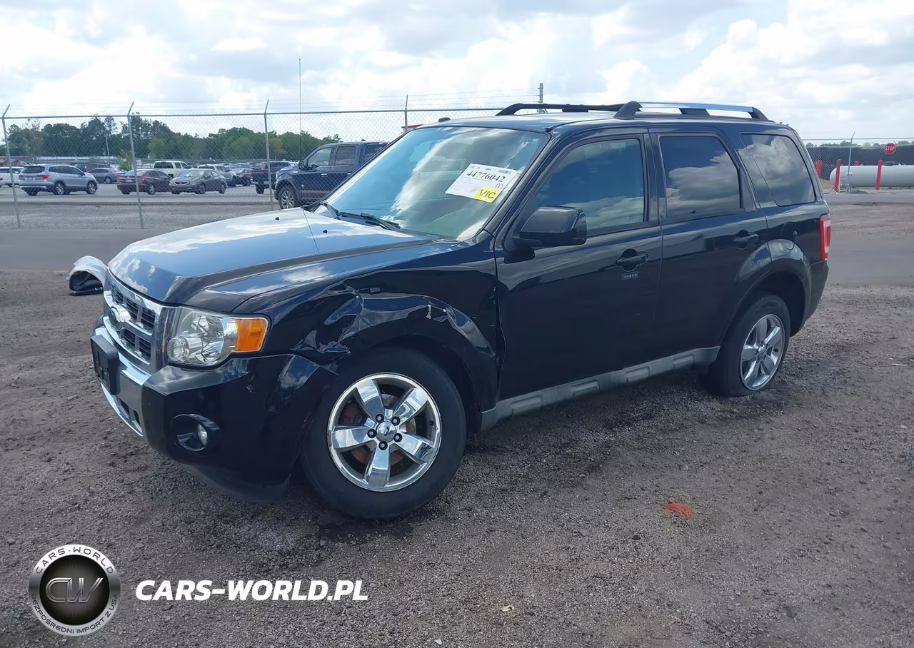 2009 Ford Escape Limited VIN:1FMCU04789KC03031 - 2