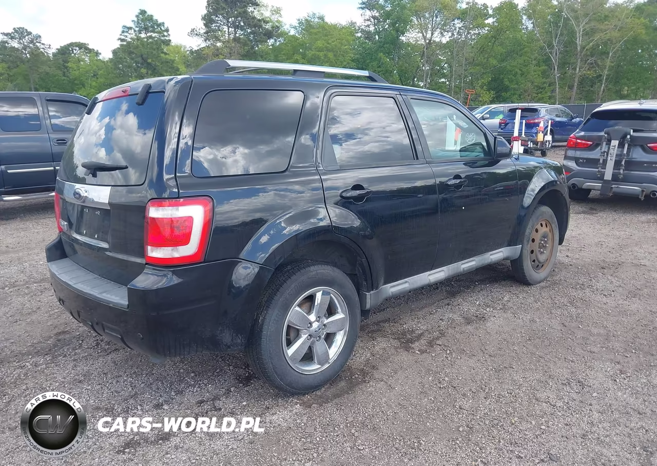 2009 Ford Escape Limited VIN:1FMCU04789KC03031 - 4