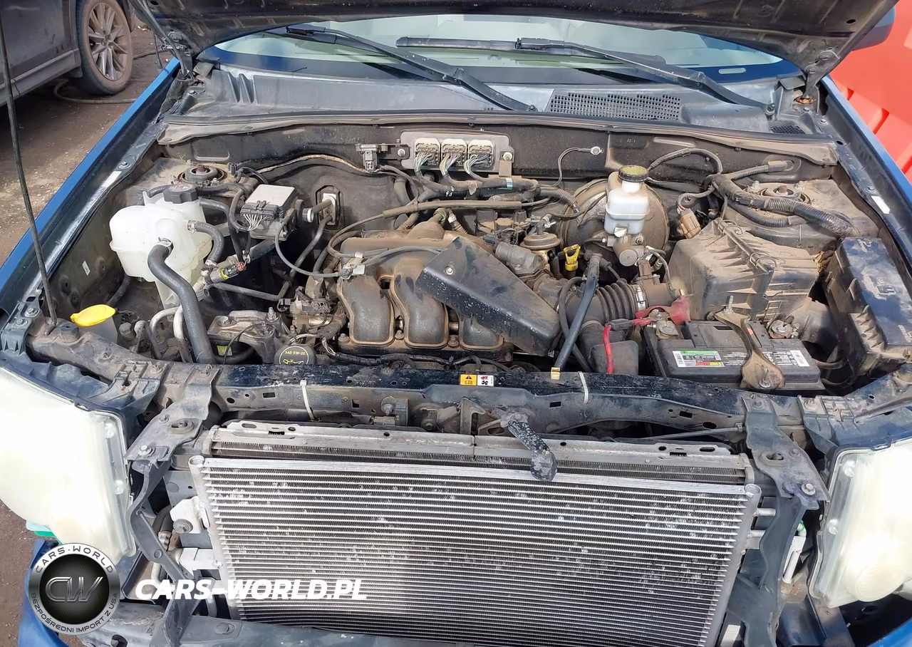 2008 Ford Escape Xlt VIN:1FMCU03188KD30857 - 10