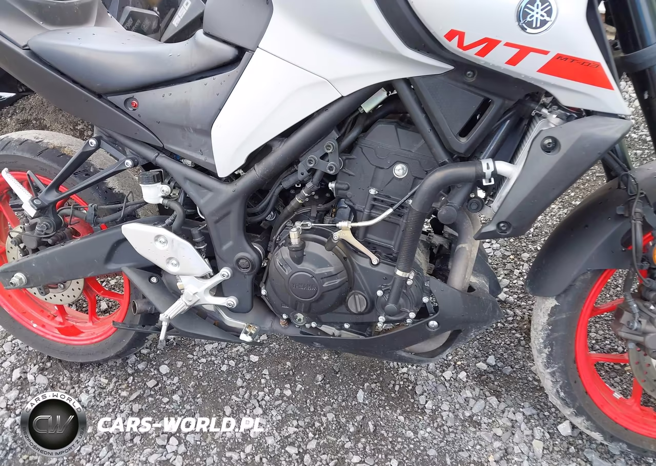 2020 Yamaha Mt-03 VIN:MH3RH20Y1LK001282 - 8