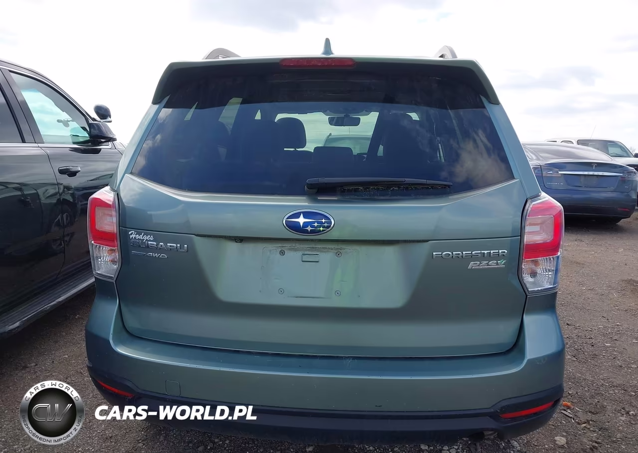 2017 Subaru Forester 2.5I Premium VIN:JF2SJAEC8HH510707 - 16