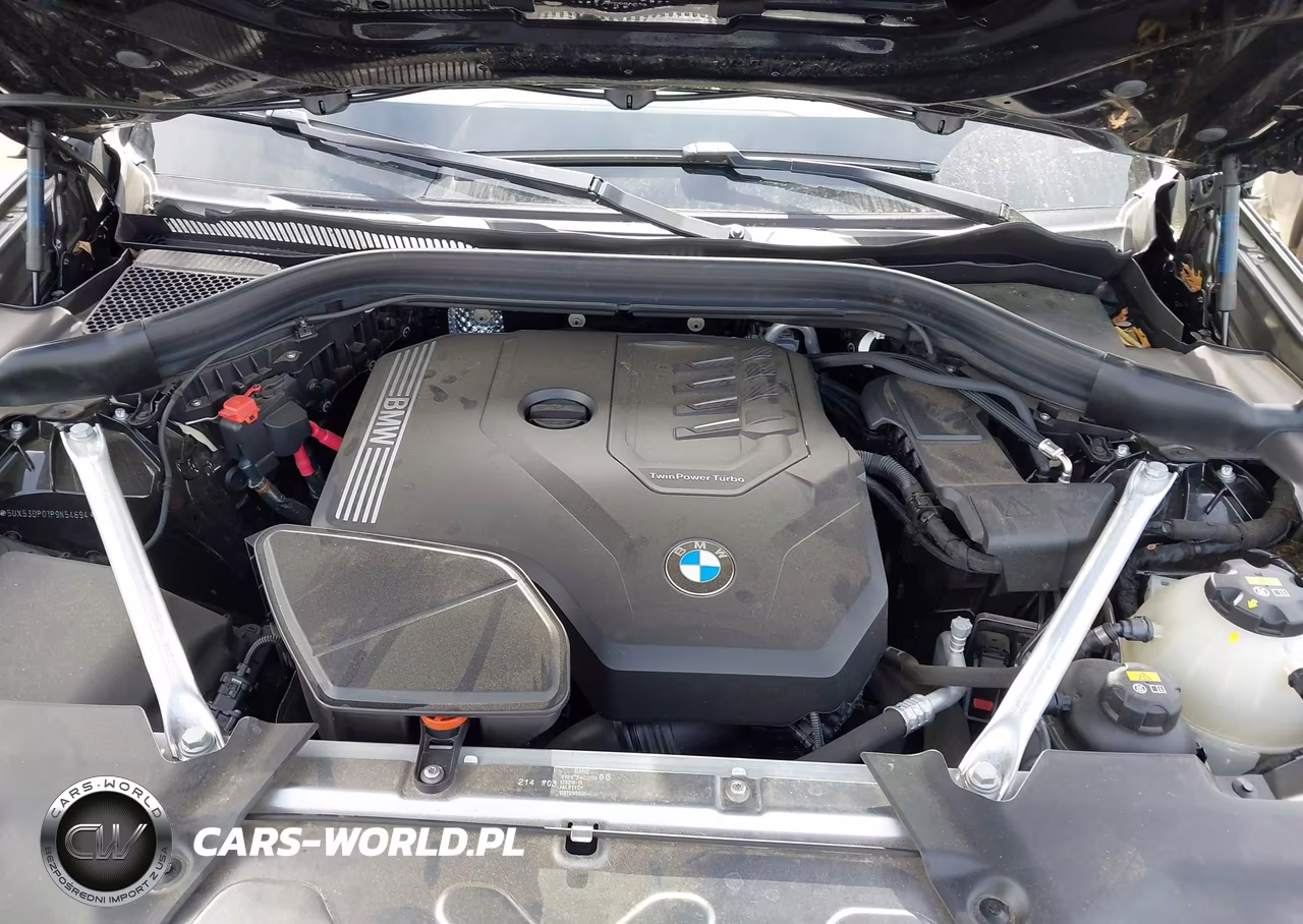 2023 BMW X3 xDrive30I VIN:5UX53DP01P9N54694 - 10