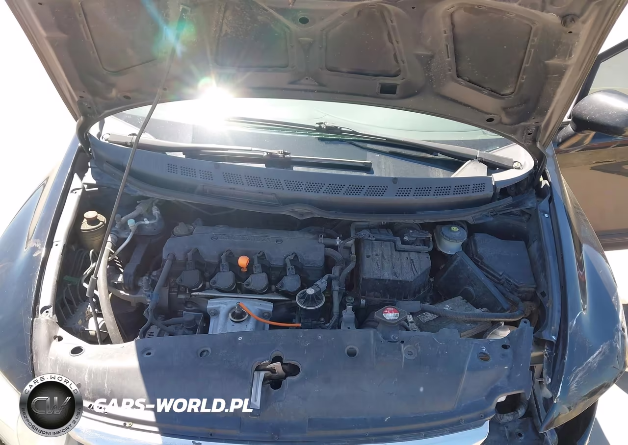 2010 Honda Civic Lx VIN:19XFA1F53AE053784 - 10