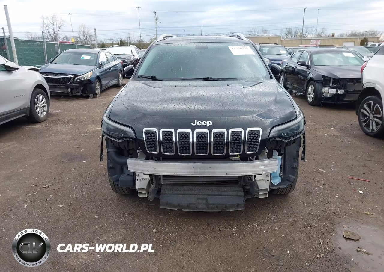 2019 Jeep Cherokee Limited 4X4 VIN:1C4PJMDN1KD320349 - 13