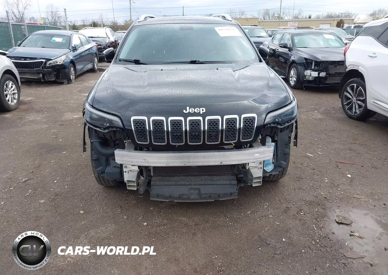 2019 Jeep Cherokee Limited 4X4 VIN:1C4PJMDN1KD320349 - 6