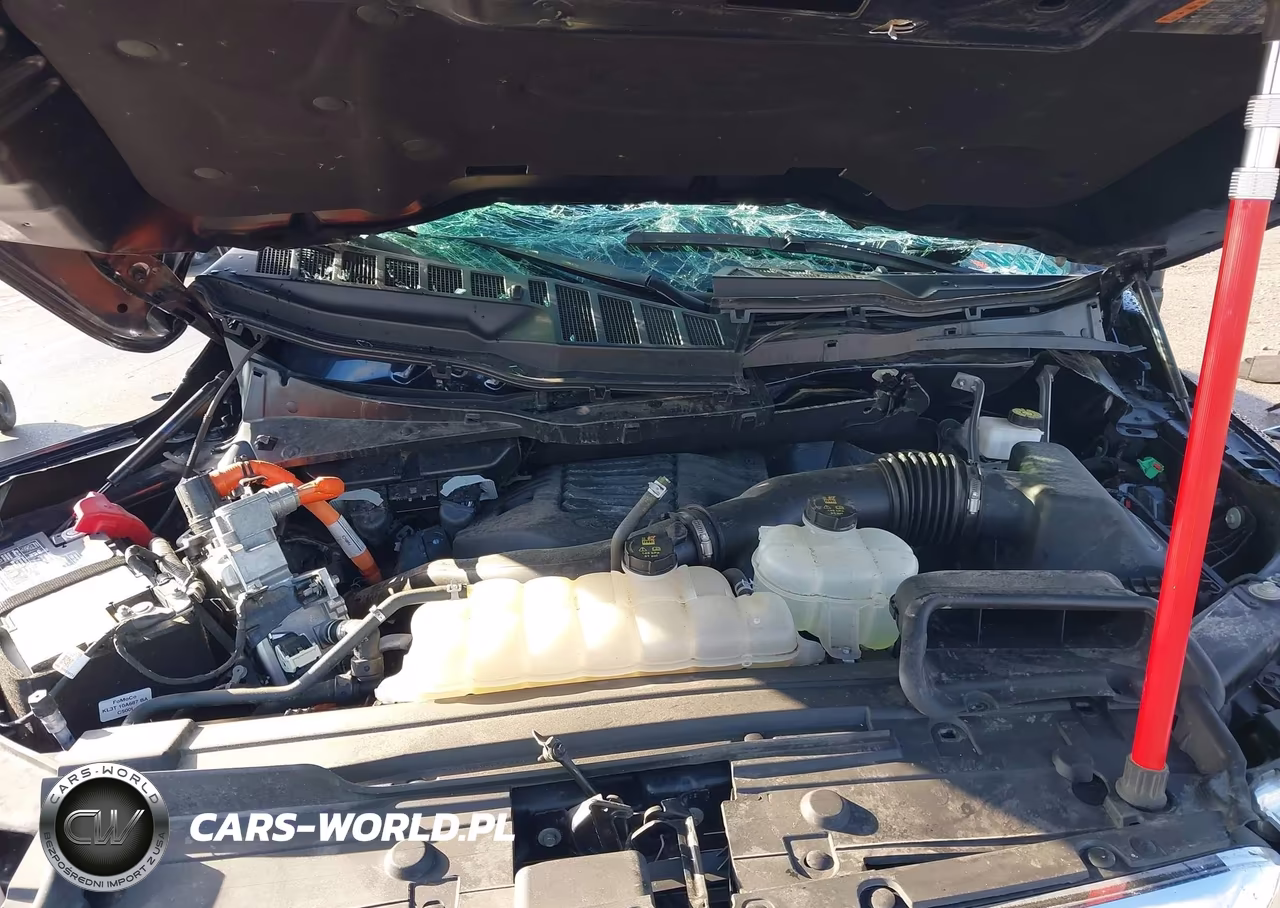 2023 Ford F-150 Xlt VIN:1FTFW1ED4PFA49879 - 10