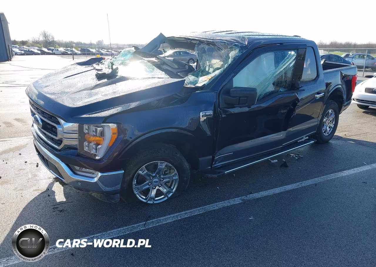 2023 Ford F-150 Xlt VIN:1FTFW1ED4PFA49879 - 2