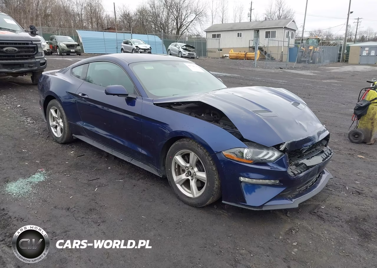 2019 Ford Mustang Ecoboost