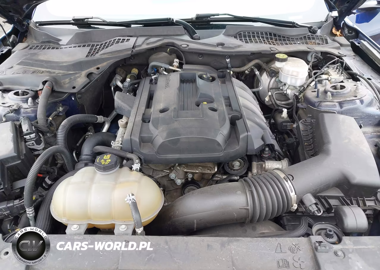 2019 Ford Mustang Ecoboost VIN:1FA6P8THXK5117814 - 10
