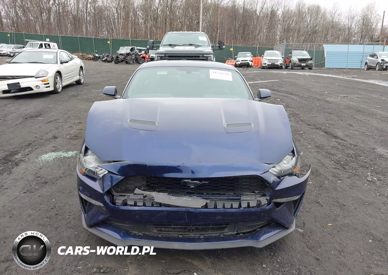 2019 Ford Mustang Ecoboost VIN:1FA6P8THXK5117814 - 12