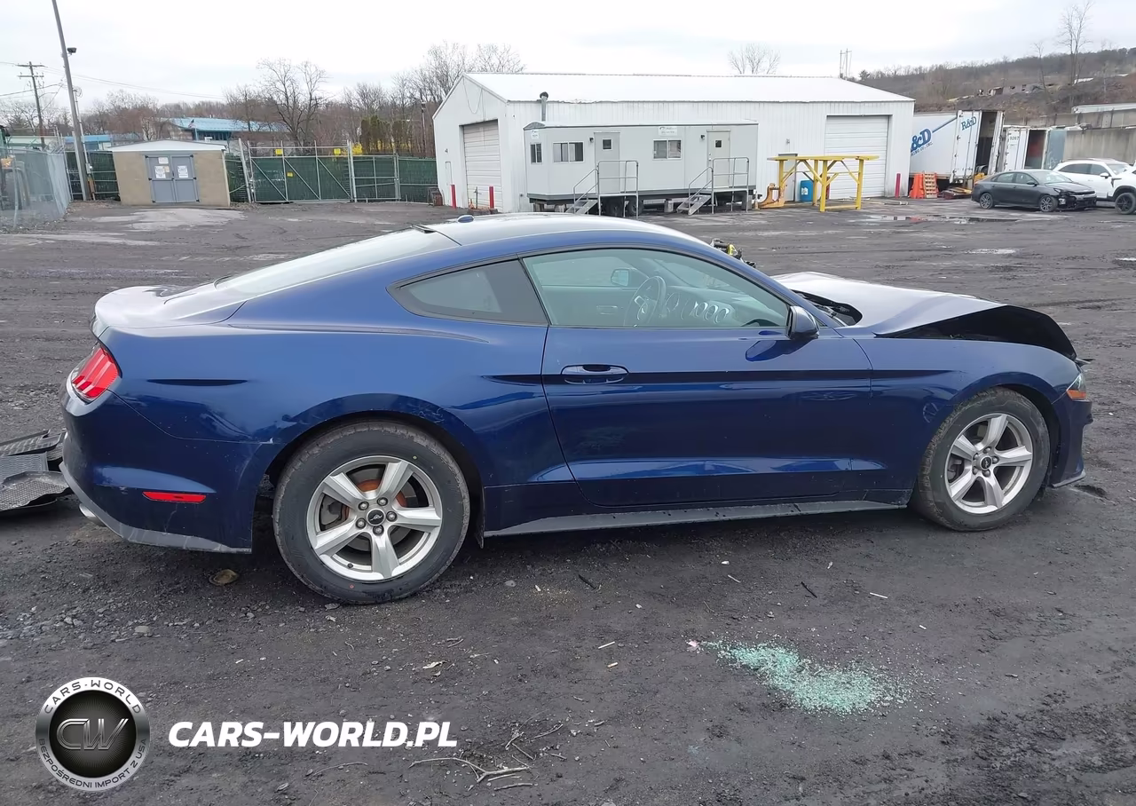 2019 Ford Mustang Ecoboost VIN:1FA6P8THXK5117814 - 13