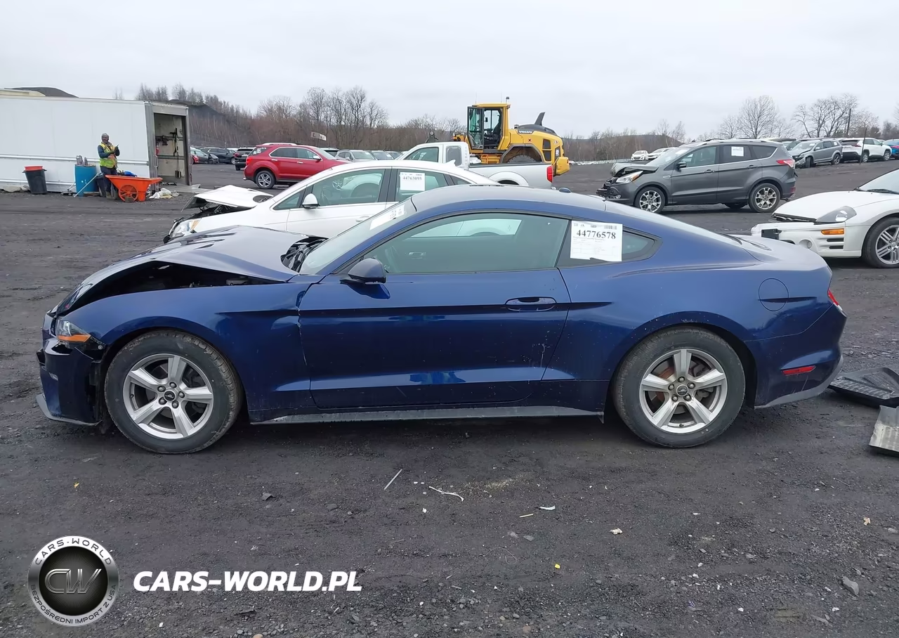 2019 Ford Mustang Ecoboost VIN:1FA6P8THXK5117814 - 14