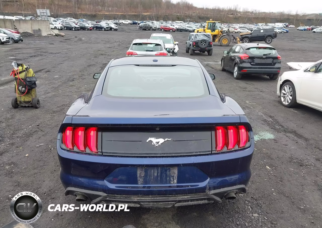 2019 Ford Mustang Ecoboost VIN:1FA6P8THXK5117814 - 16