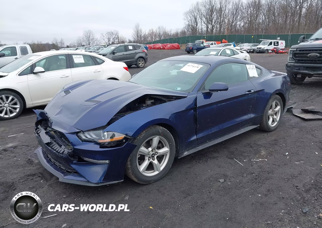 2019 Ford Mustang Ecoboost VIN:1FA6P8THXK5117814 - 2