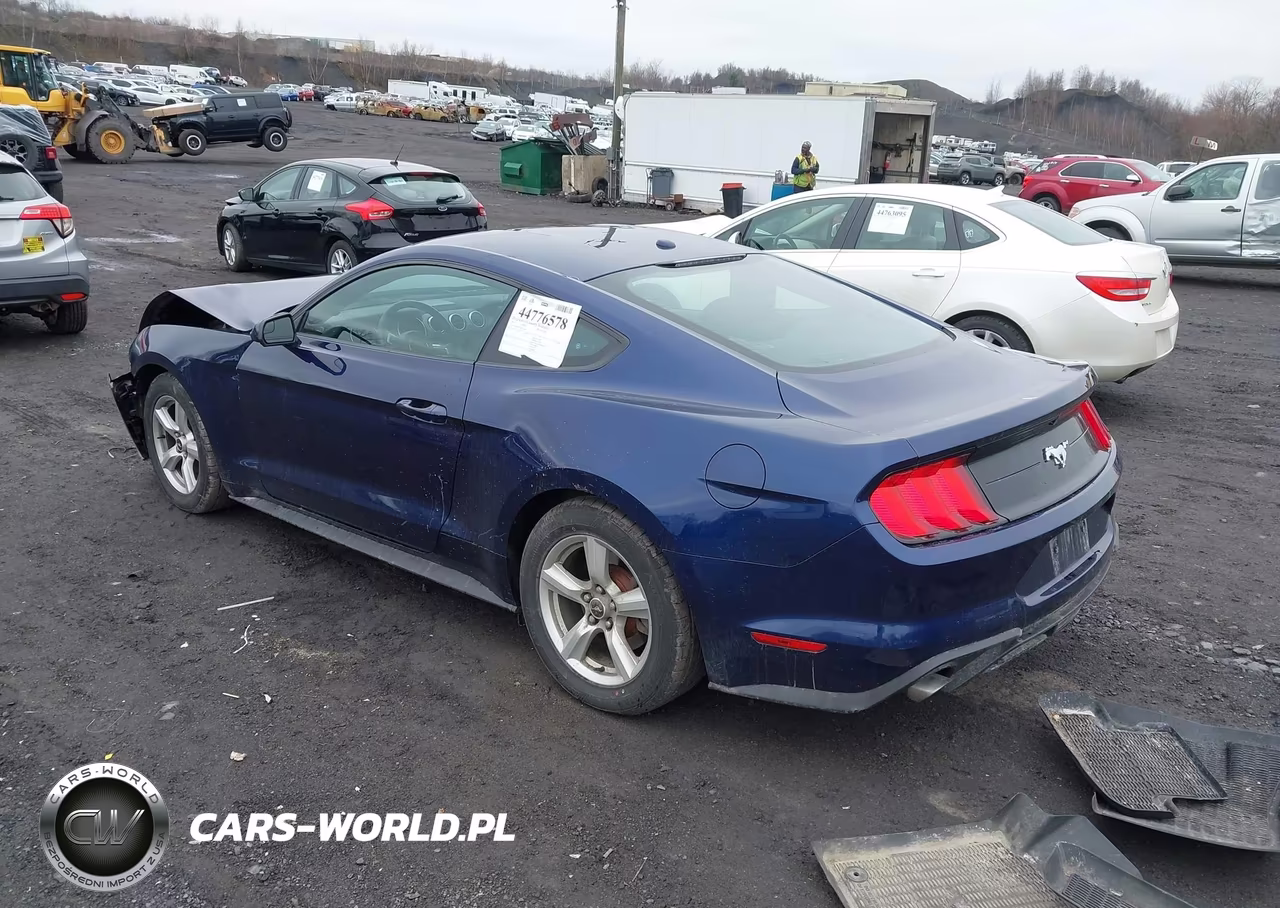 2019 Ford Mustang Ecoboost VIN:1FA6P8THXK5117814 - 3