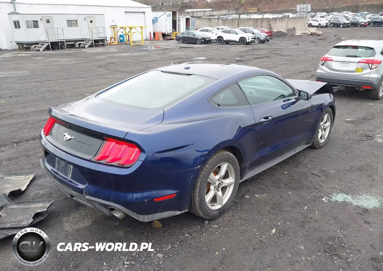 2019 Ford Mustang Ecoboost VIN:1FA6P8THXK5117814 - 4