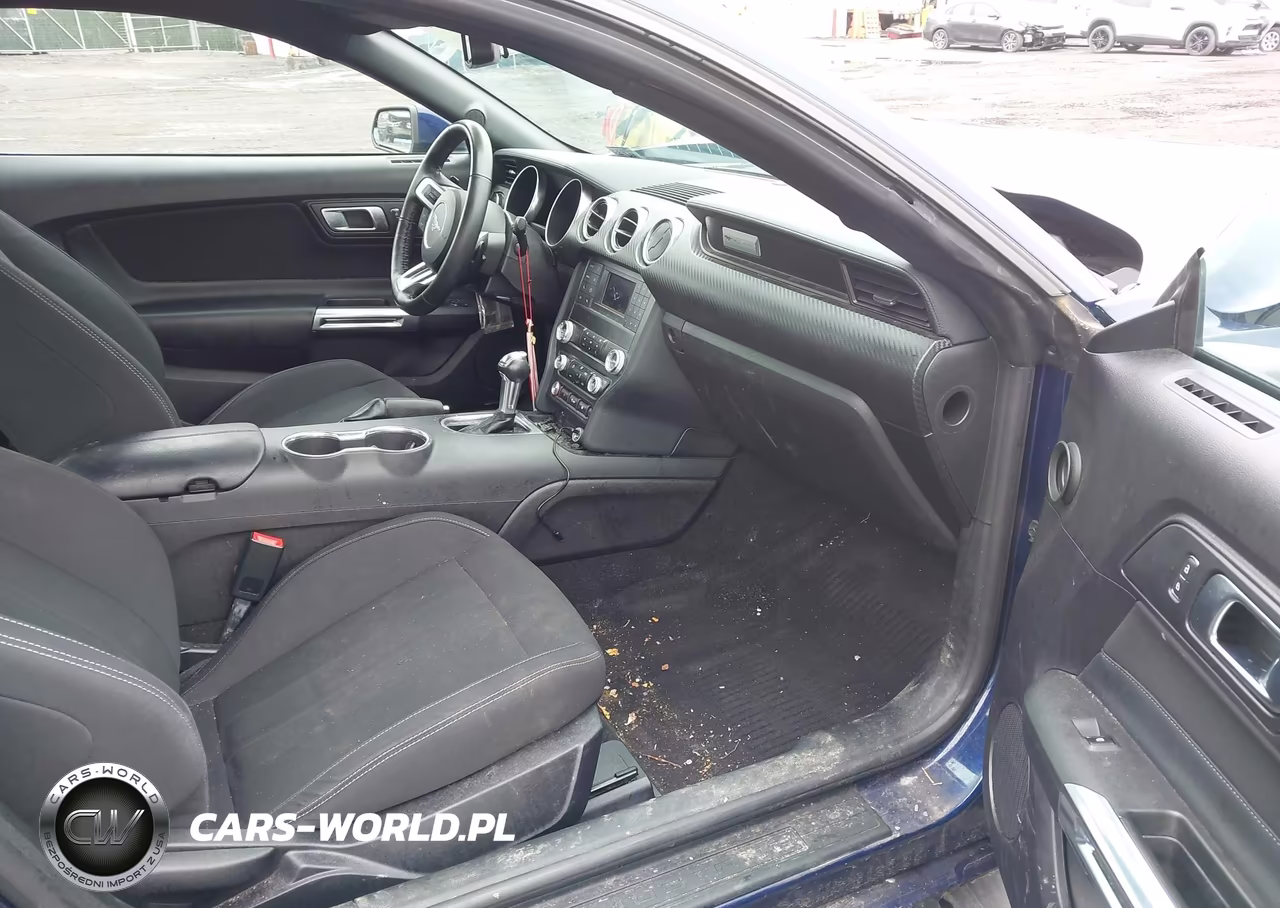 2019 Ford Mustang Ecoboost VIN:1FA6P8THXK5117814 - 5