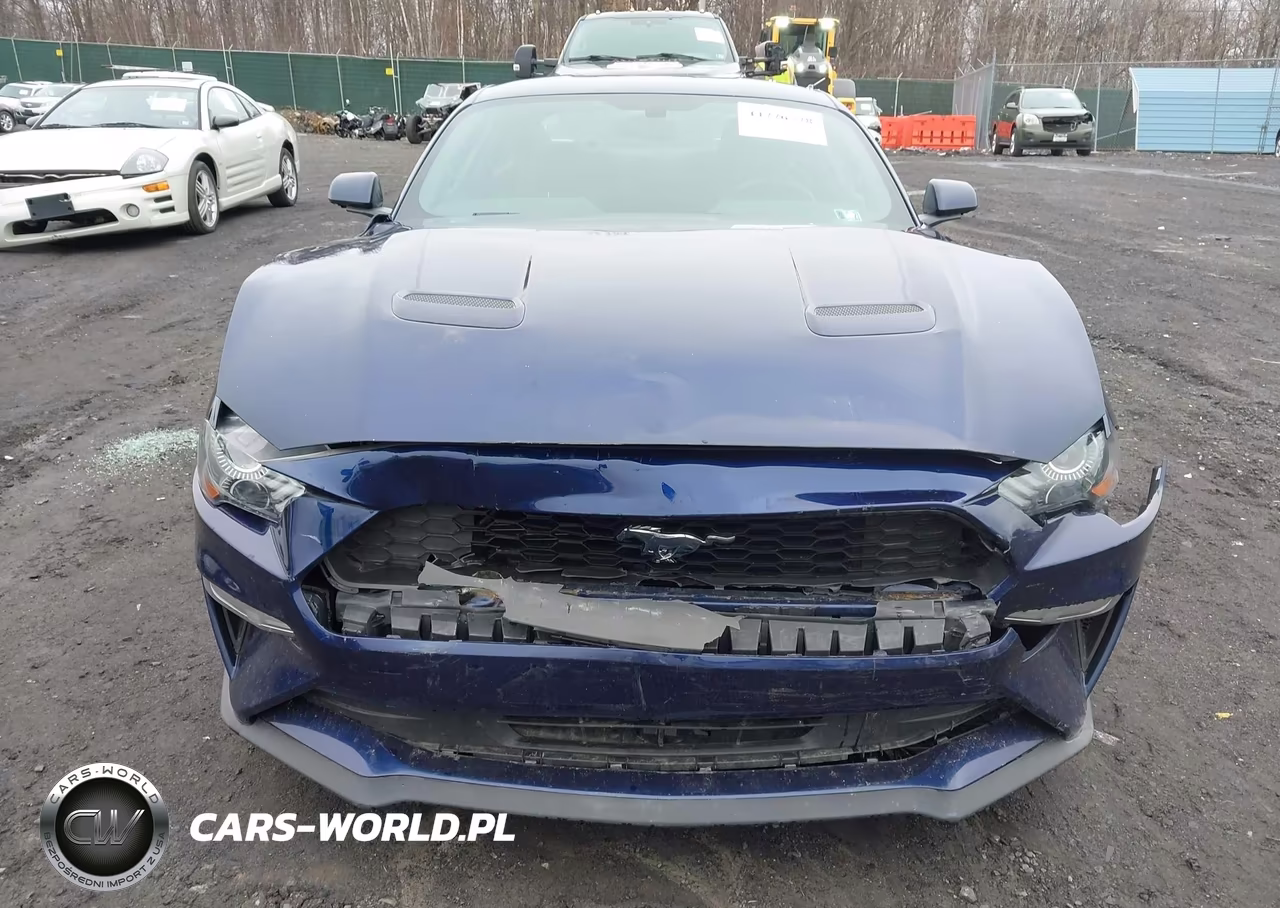 2019 Ford Mustang Ecoboost VIN:1FA6P8THXK5117814 - 6