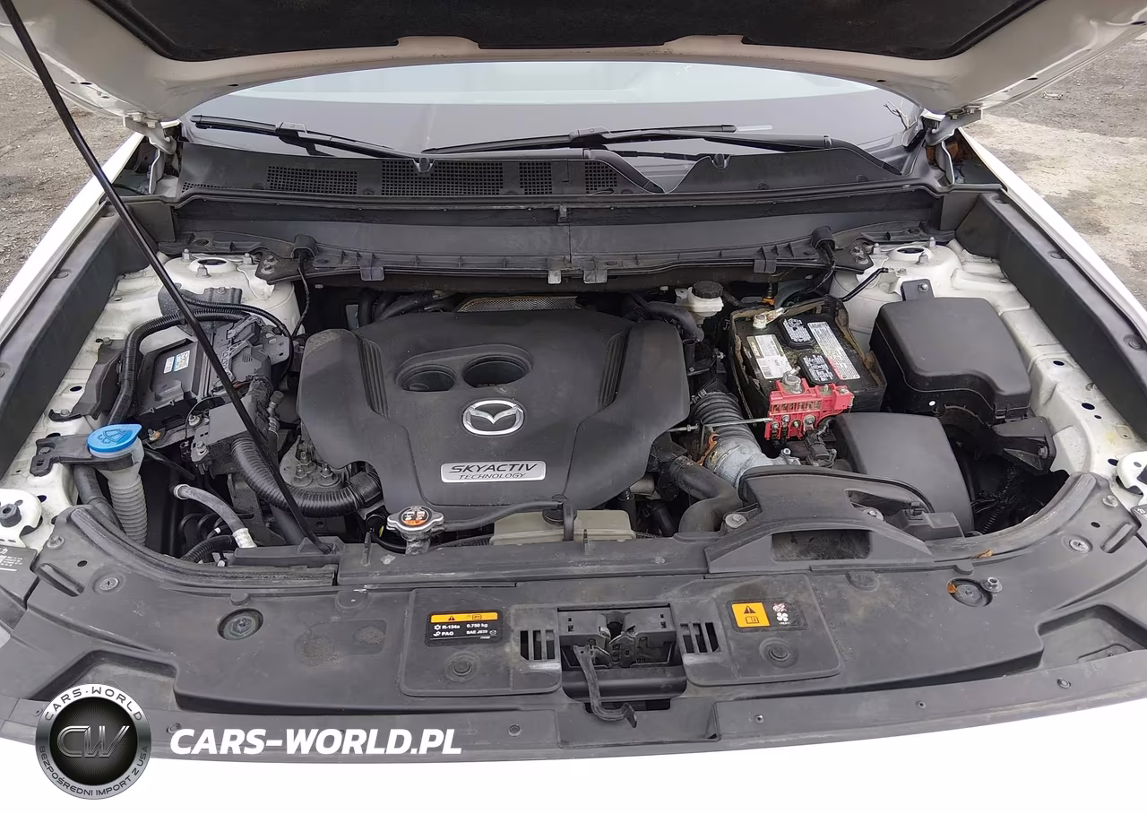 2019 Mazda Cx-9 Touring VIN:JM3TCBCY1K0329673 - 10