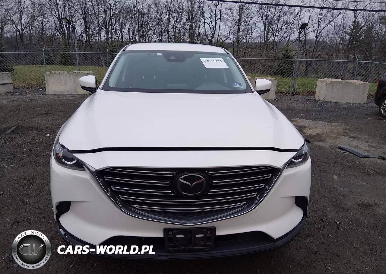 2019 Mazda Cx-9 Touring VIN:JM3TCBCY1K0329673 - 12