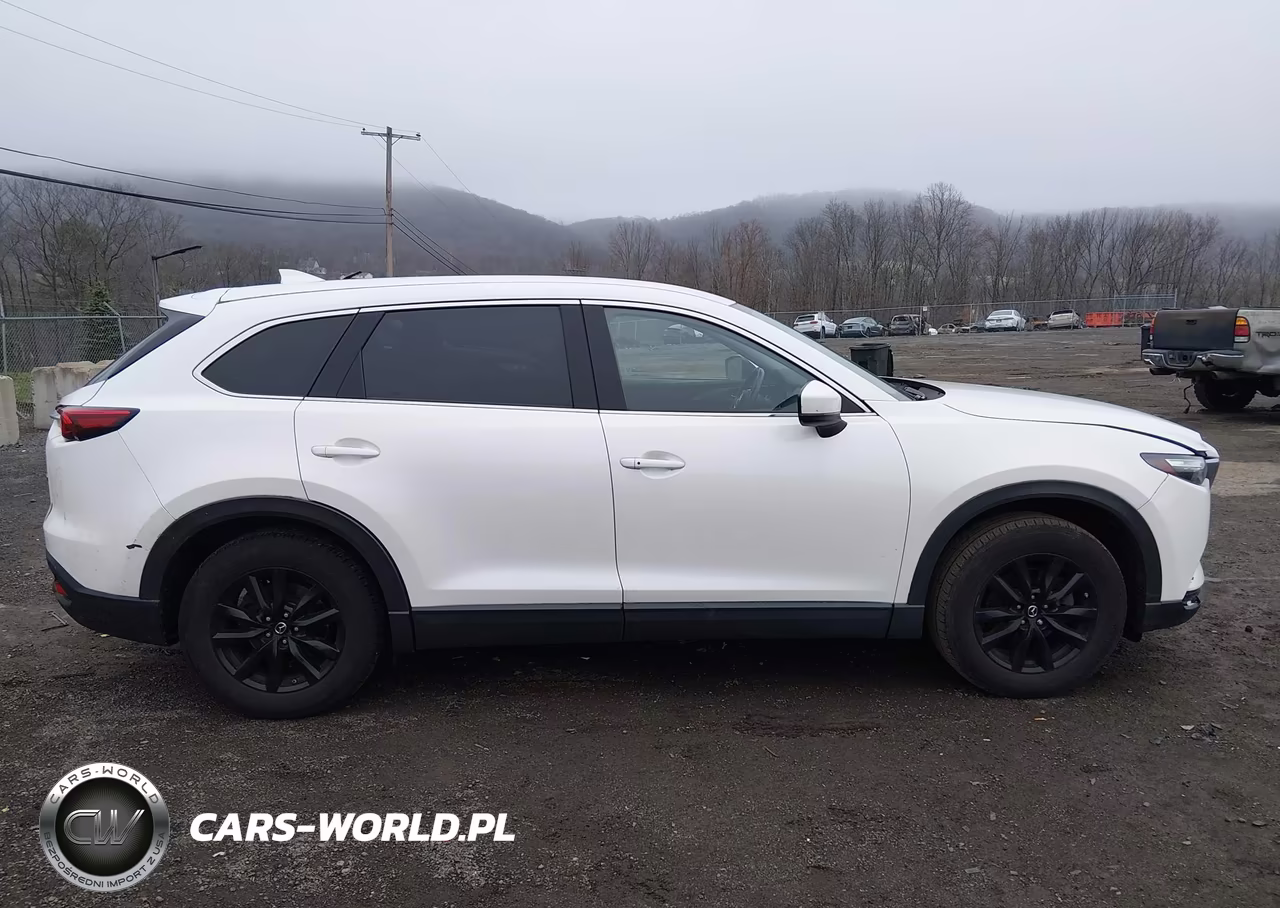 2019 Mazda Cx-9 Touring VIN:JM3TCBCY1K0329673 - 13