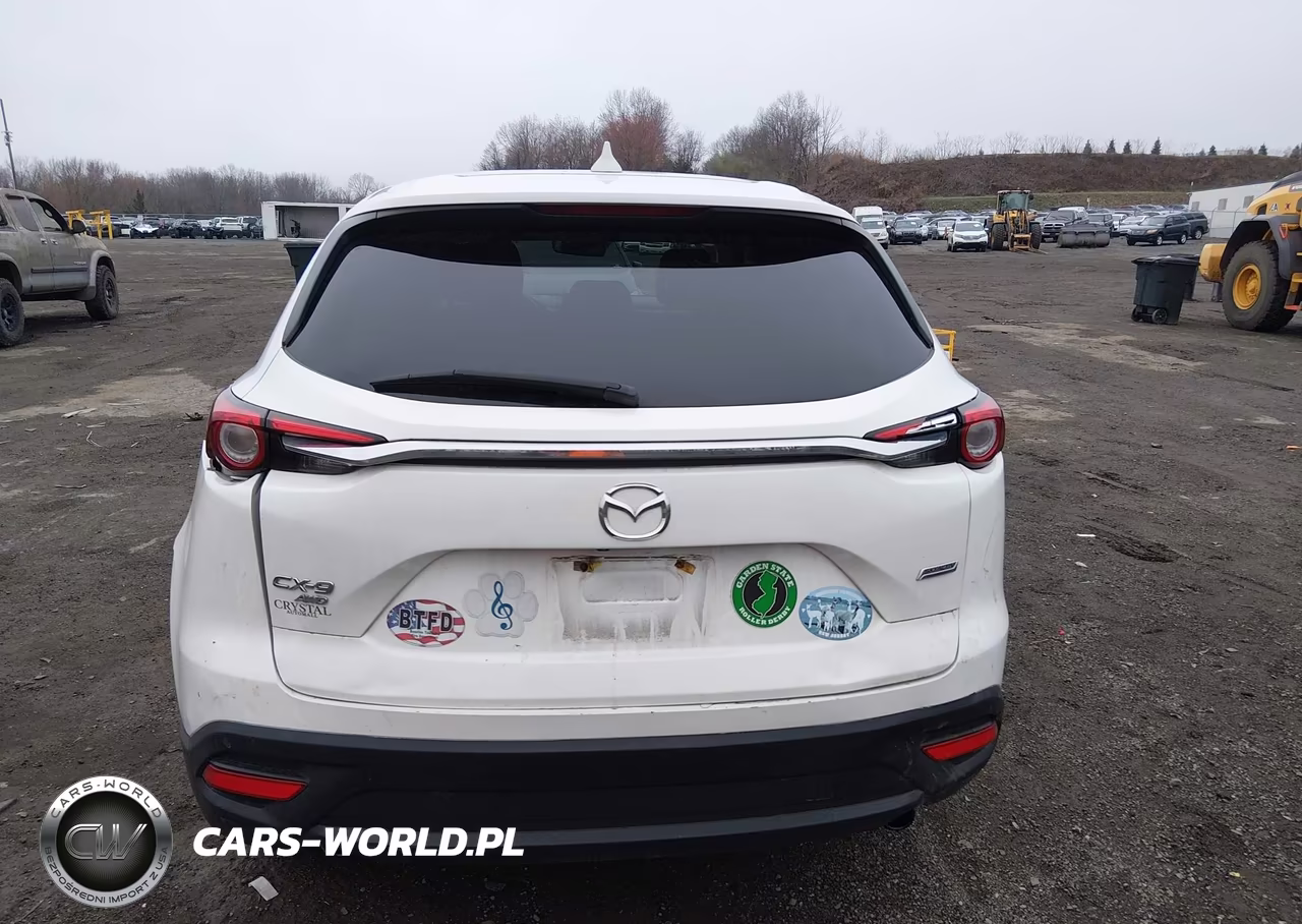 2019 Mazda Cx-9 Touring VIN:JM3TCBCY1K0329673 - 16