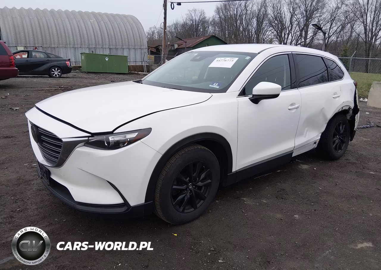 2019 Mazda Cx-9 Touring VIN:JM3TCBCY1K0329673 - 2