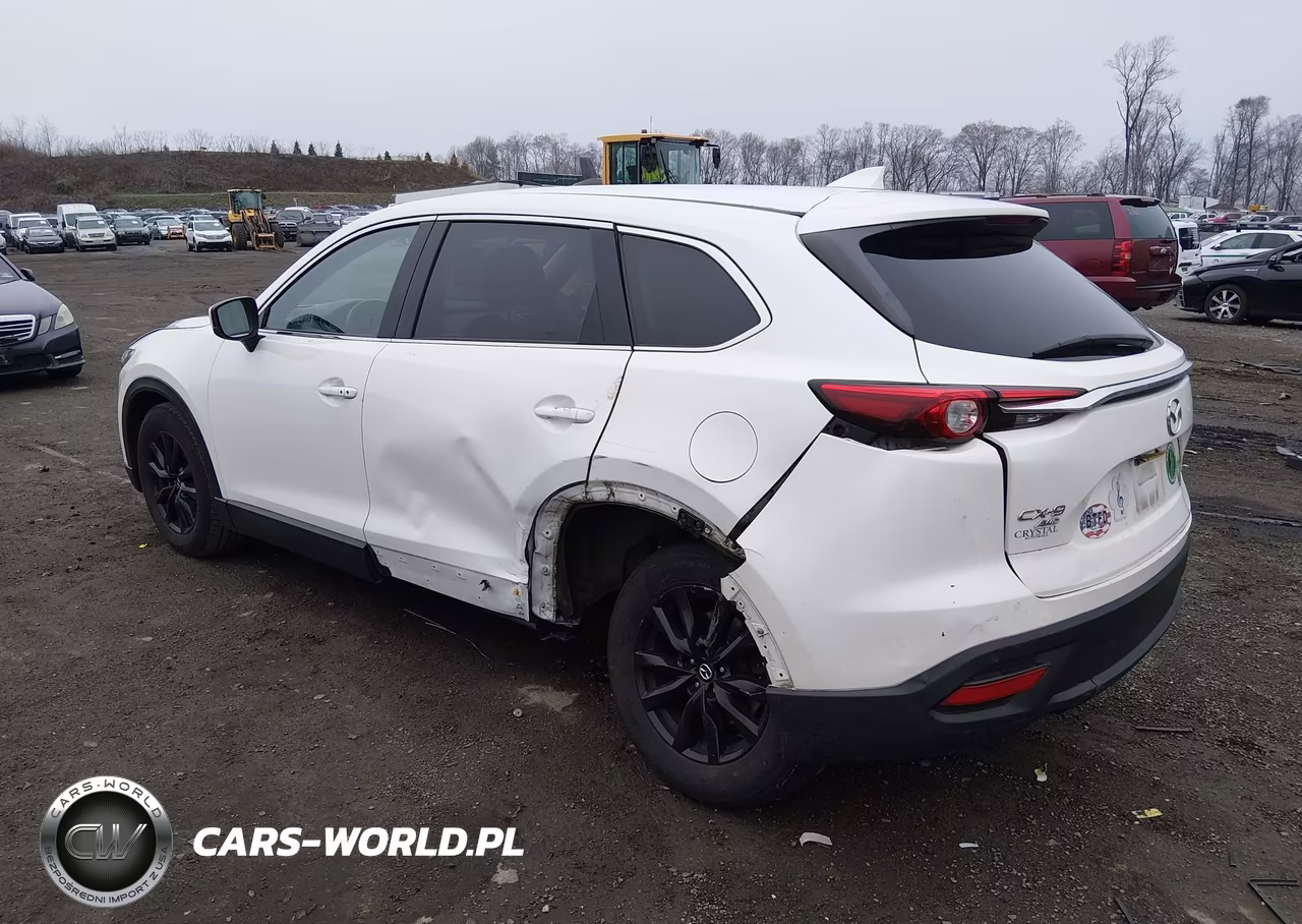 2019 Mazda Cx-9 Touring VIN:JM3TCBCY1K0329673 - 3
