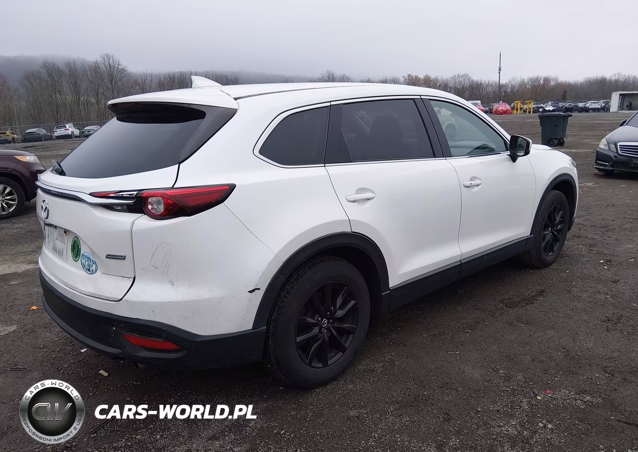 2019 Mazda Cx-9 Touring VIN:JM3TCBCY1K0329673 - 4