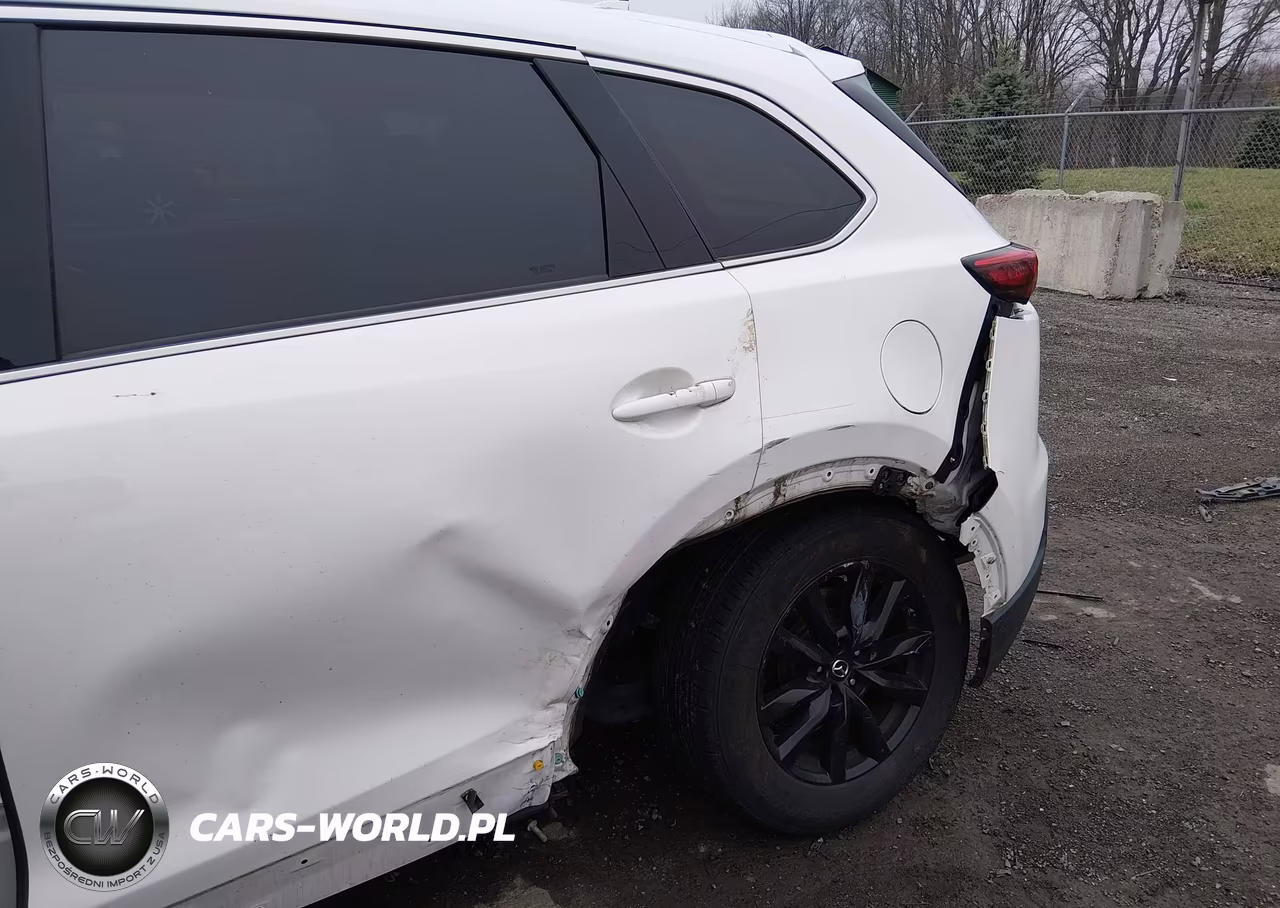 2019 Mazda Cx-9 Touring VIN:JM3TCBCY1K0329673 - 6