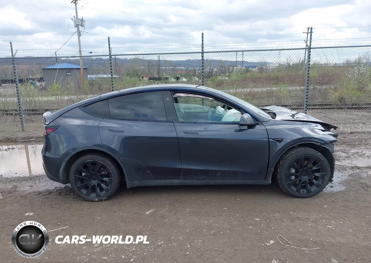 2025 Tesla Model Y Long Range Dual Motor All-Wheel Drive VIN:7SAYGAEE1SF300193 - 13