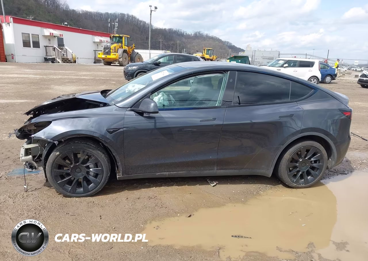 2025 Tesla Model Y Long Range Dual Motor All-Wheel Drive VIN:7SAYGAEE1SF300193 - 14