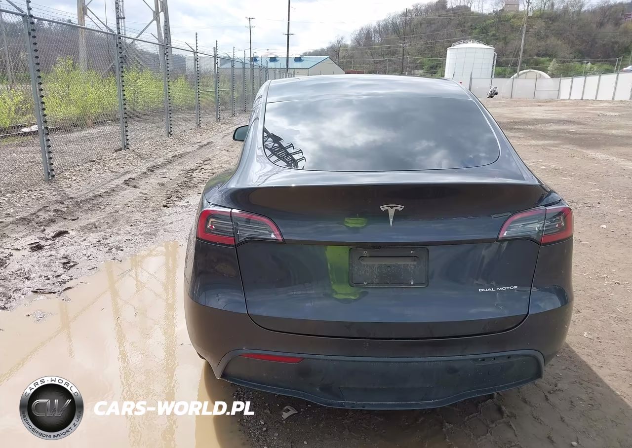 2025 Tesla Model Y Long Range Dual Motor All-Wheel Drive VIN:7SAYGAEE1SF300193 - 16