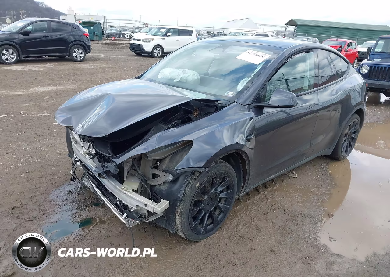 2025 Tesla Model Y Long Range Dual Motor All-Wheel Drive VIN:7SAYGAEE1SF300193 - 2