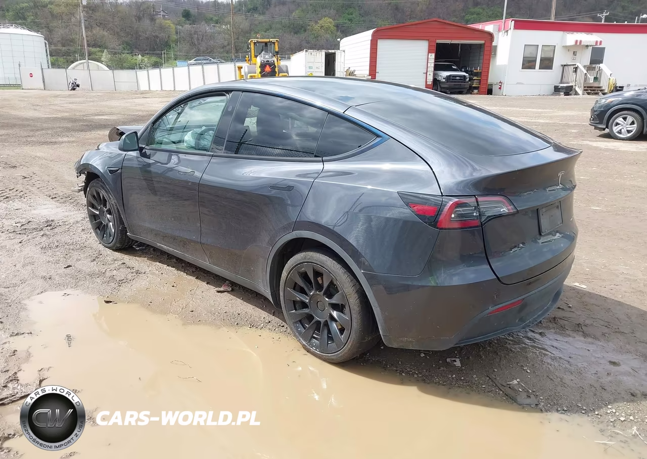 2025 Tesla Model Y Long Range Dual Motor All-Wheel Drive VIN:7SAYGAEE1SF300193 - 3