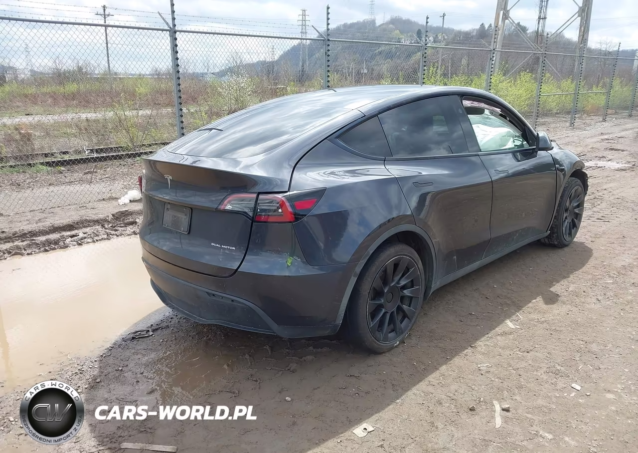 2025 Tesla Model Y Long Range Dual Motor All-Wheel Drive VIN:7SAYGAEE1SF300193 - 4