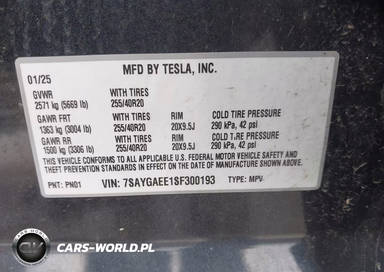 2025 Tesla Model Y Long Range Dual Motor All-Wheel Drive VIN:7SAYGAEE1SF300193 - 9