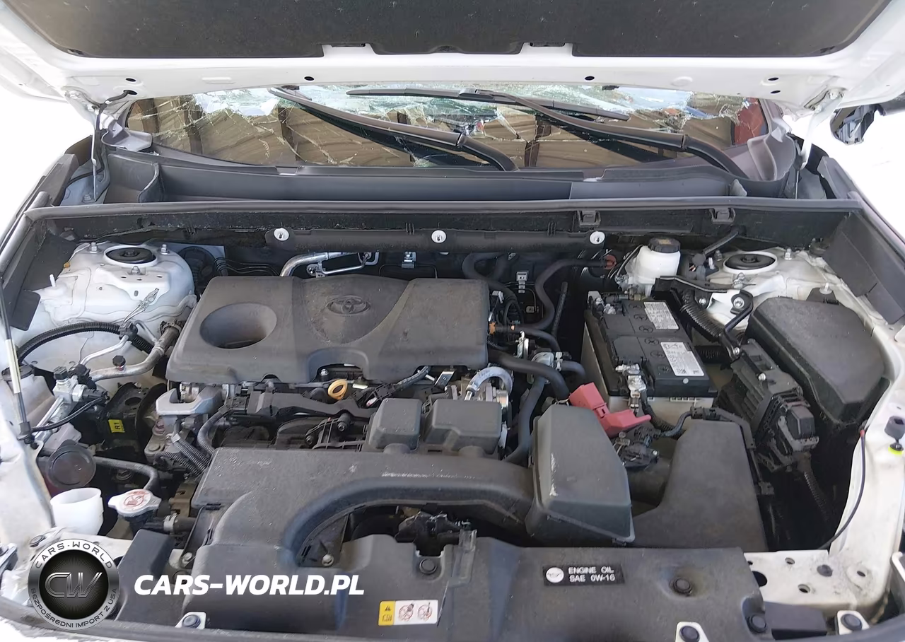 2024 Toyota Rav4 Xle VIN:2T3P1RFVXRC485891 - 10